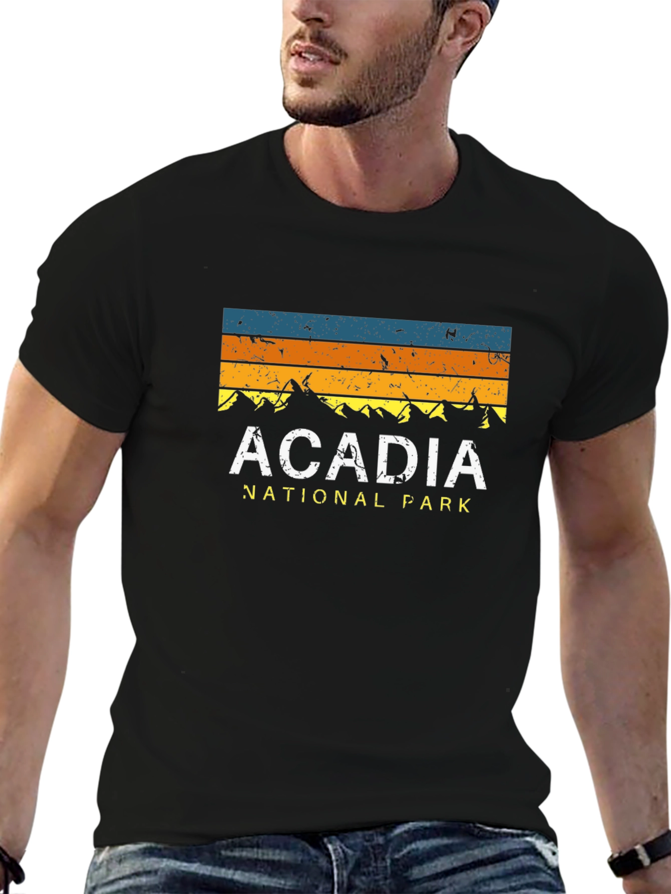 Acadia National Park Graphic Tee