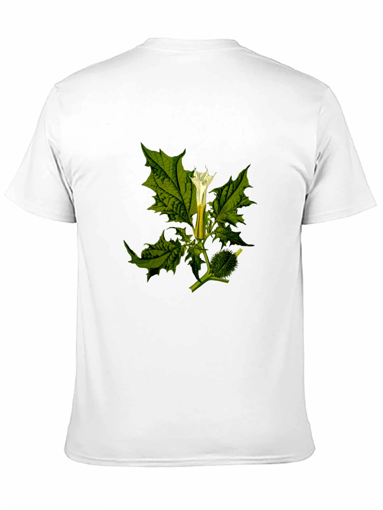 Botanical Datura Flower Graphic Black Tee