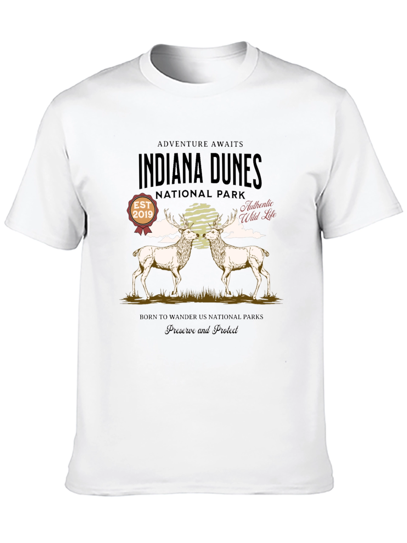 Indiana Dunes National Park Graphic T-Shirt