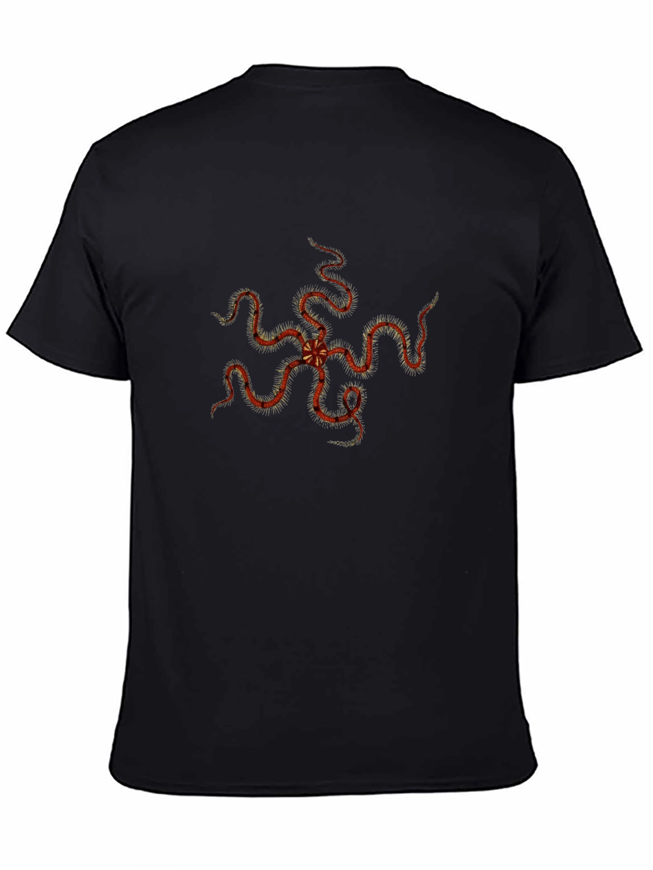 Echinoderm Print Black Tee - Stylish Sea Star T-Shirt