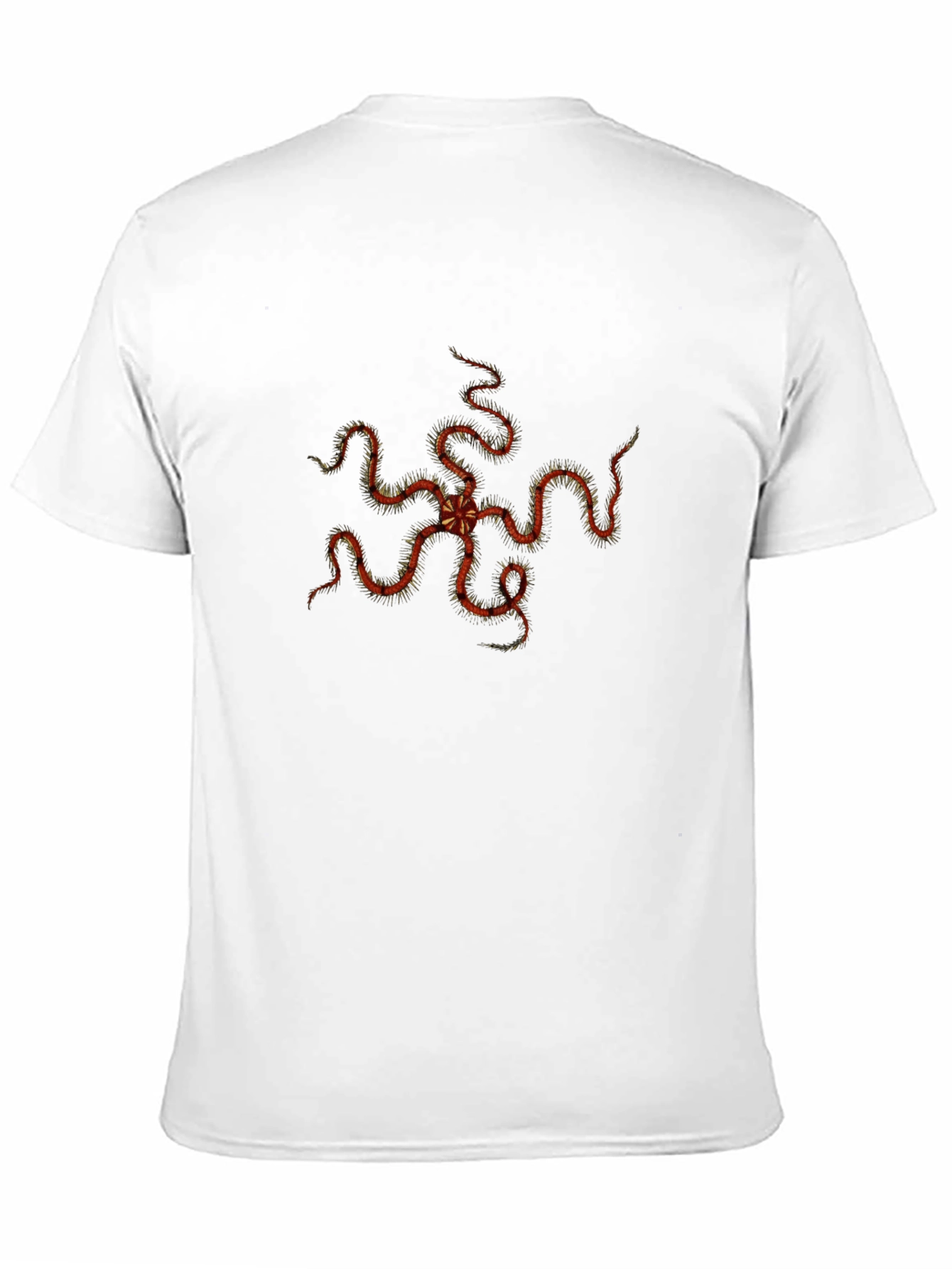Echinoderm Print Black Tee - Stylish Sea Star T-Shirt