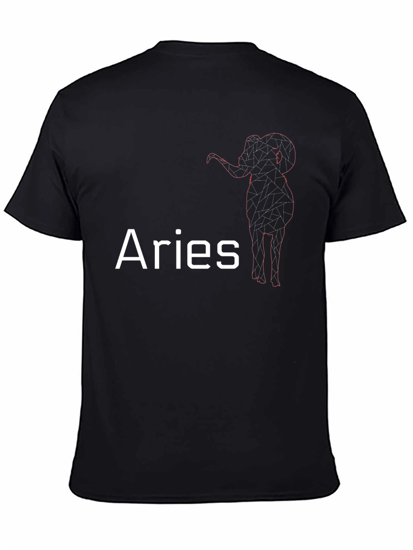 Aries Zodiac Sign T-Shirt