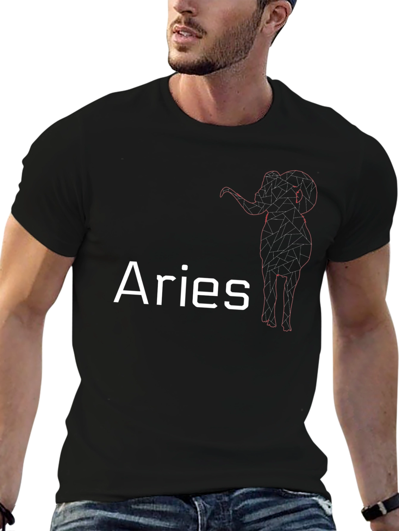 Aries Zodiac Sign T-Shirt