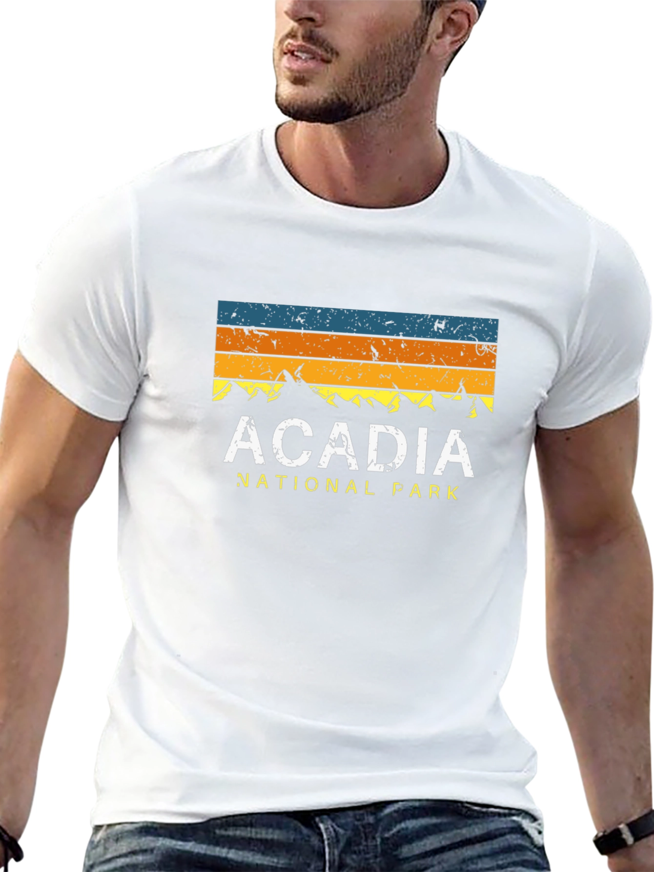Acadia National Park Graphic Tee