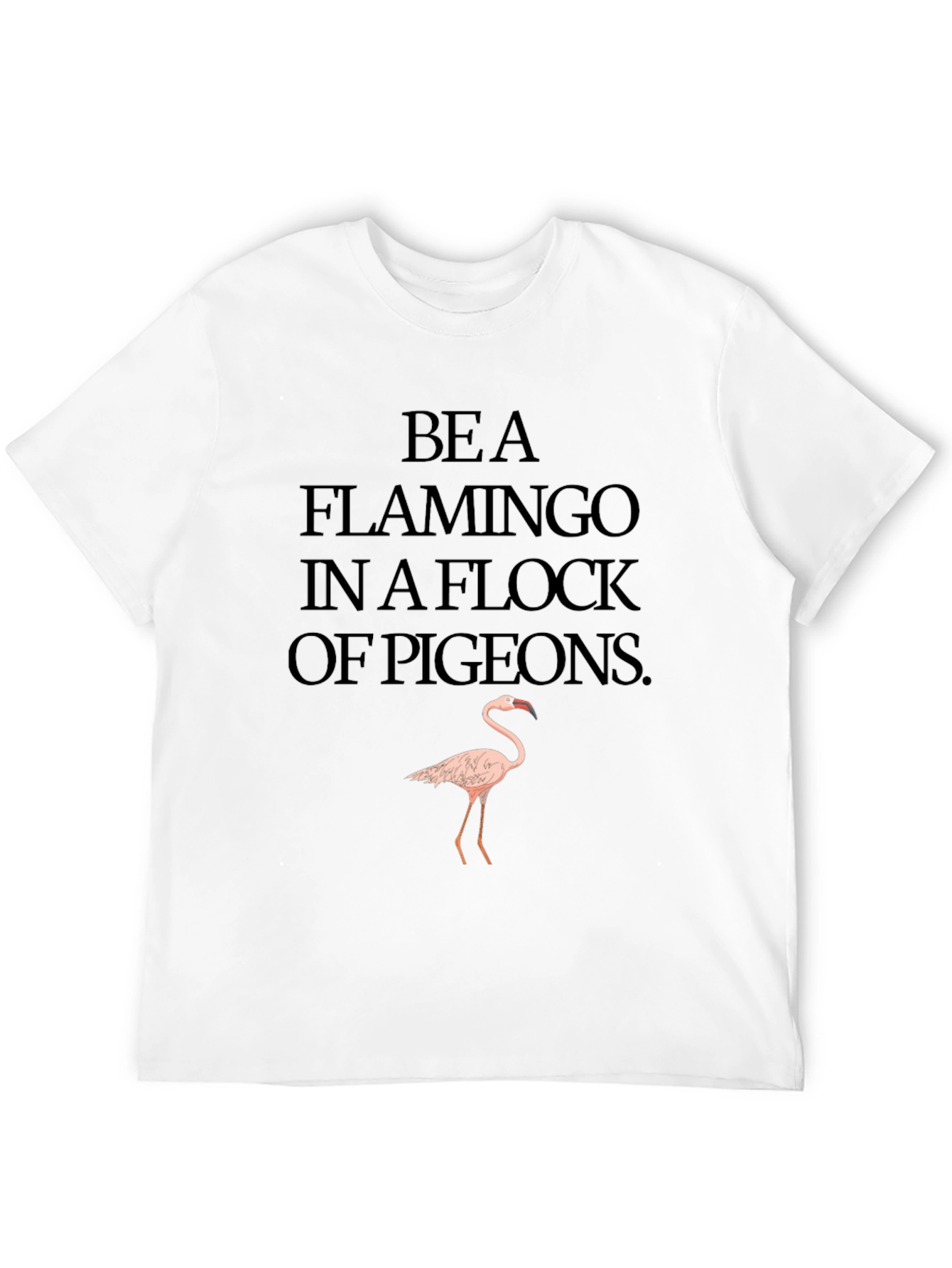 Be a Flamingo T-Shirt