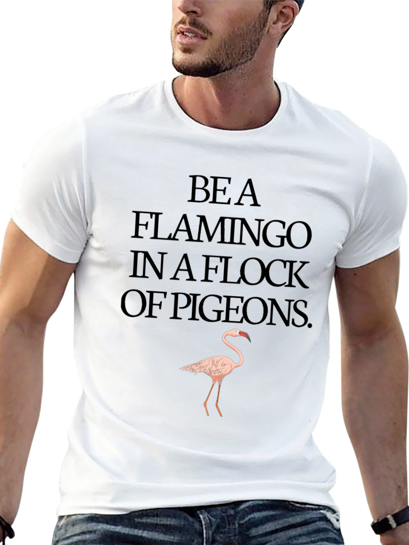 Be a Flamingo T-Shirt