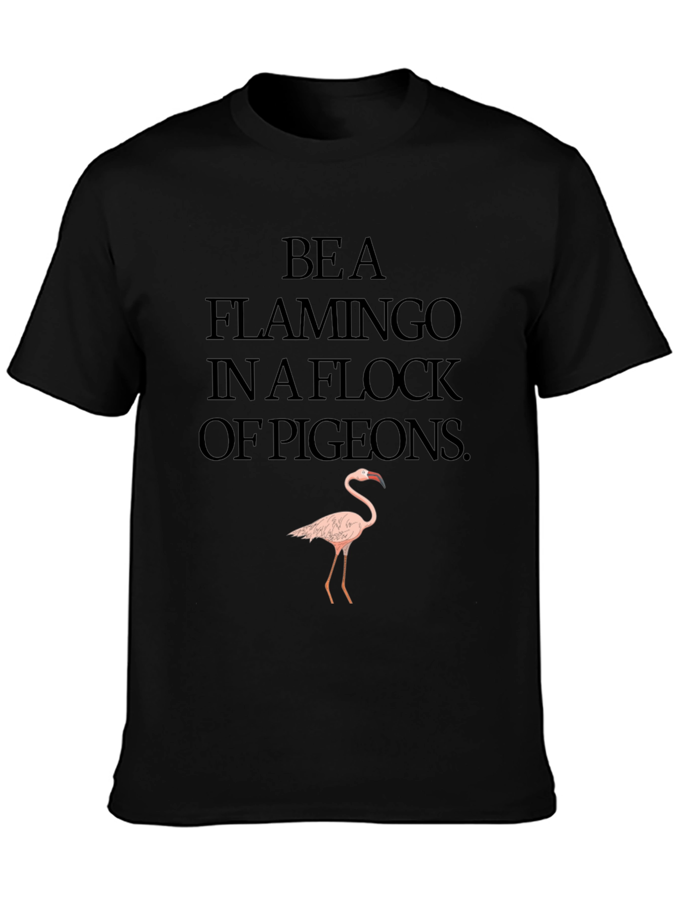 Be a Flamingo T-Shirt
