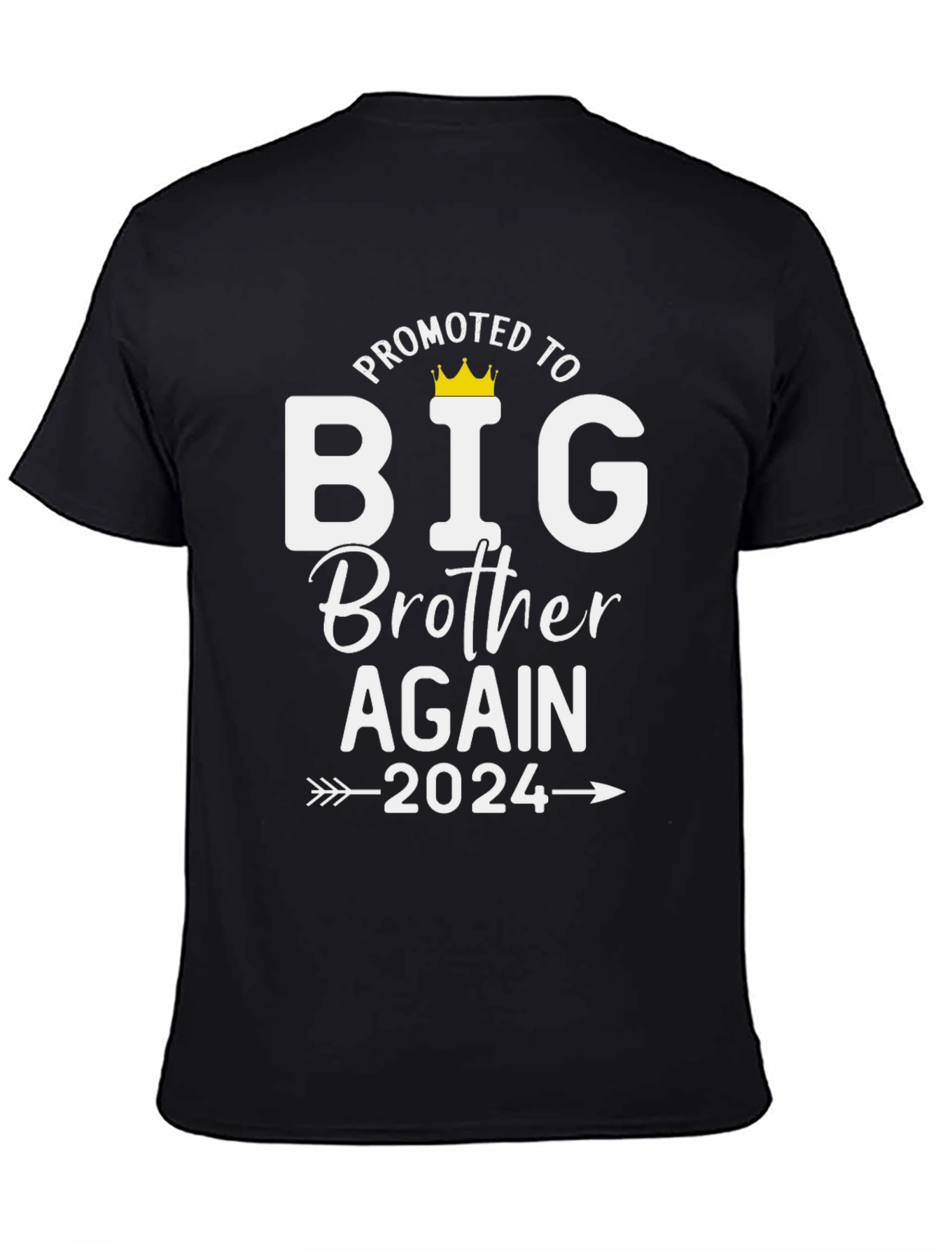 Promoted to Big Brother Again 2024 T-Shirt