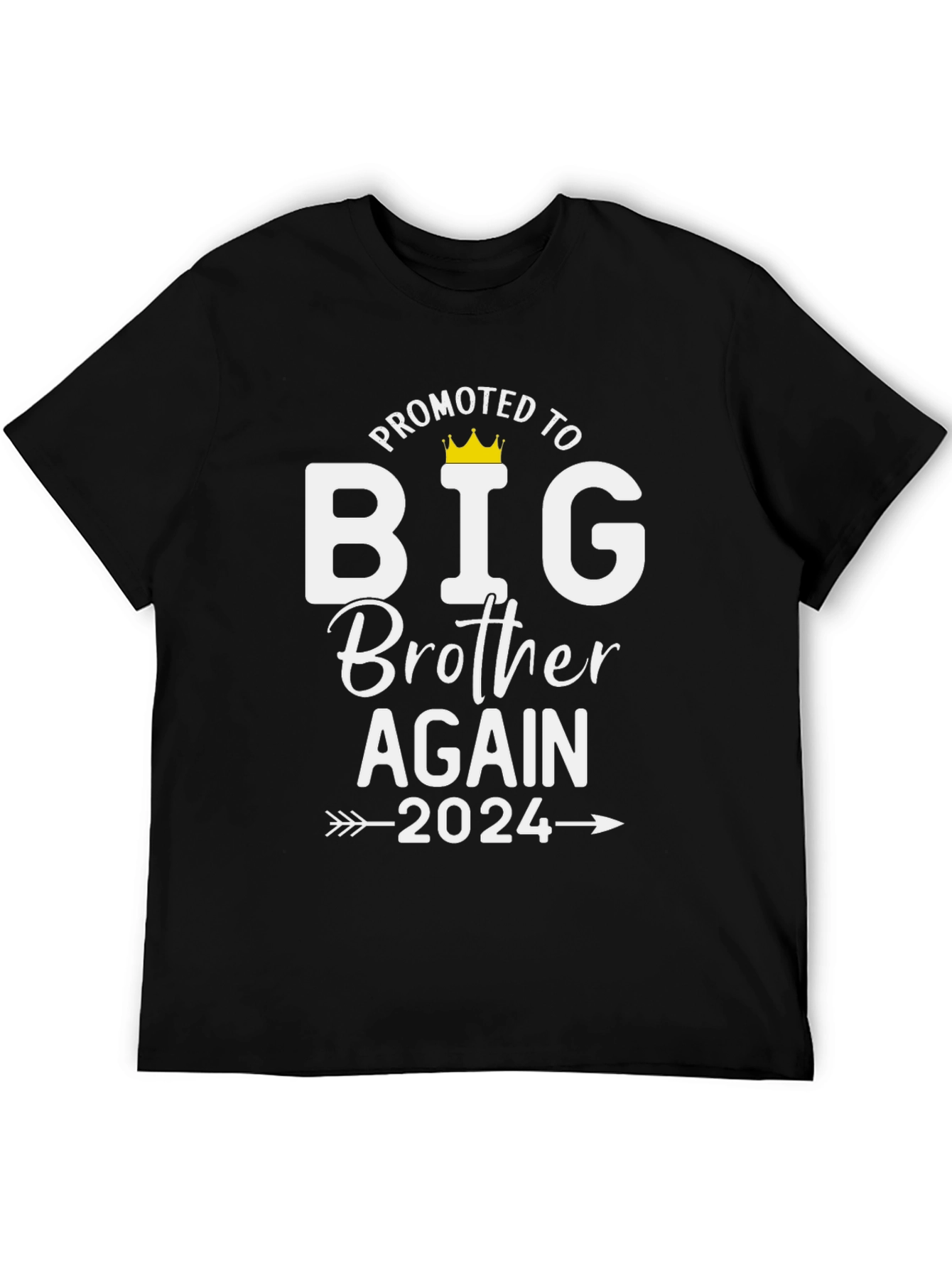 Promoted to Big Brother Again 2024 T-Shirt