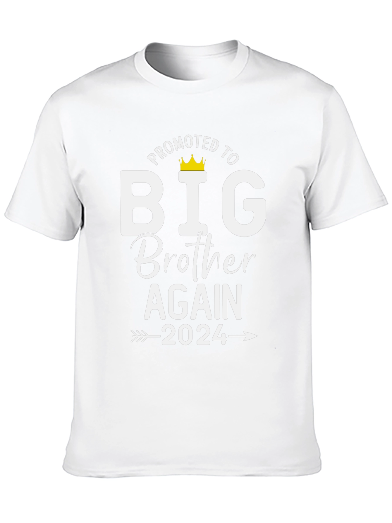 Promoted to Big Brother Again 2024 T-Shirt