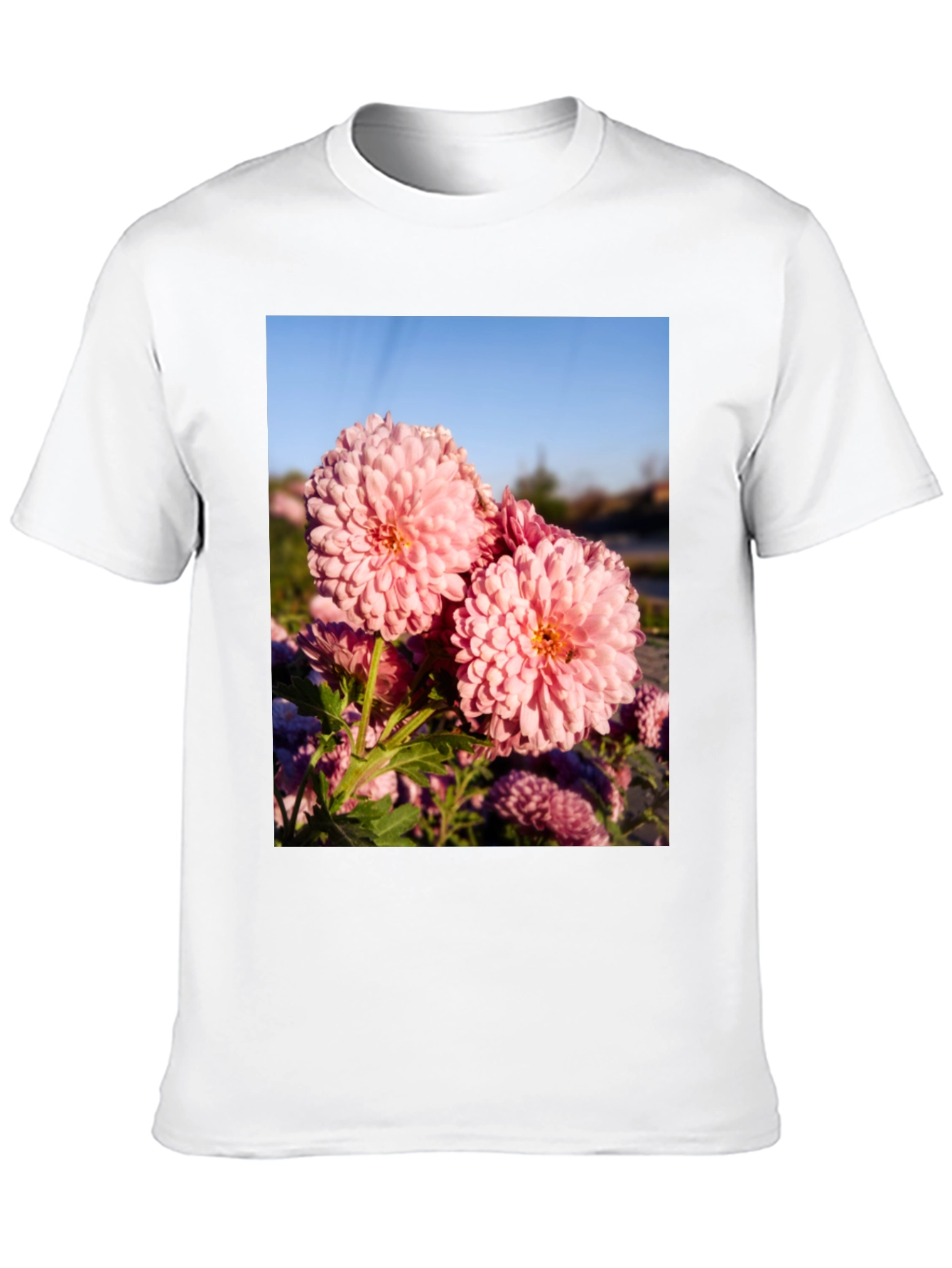 Floral Print T-Shirt