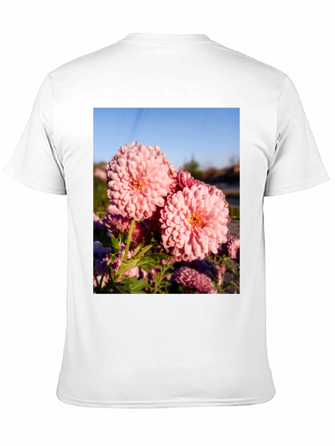 Floral Print T-Shirt