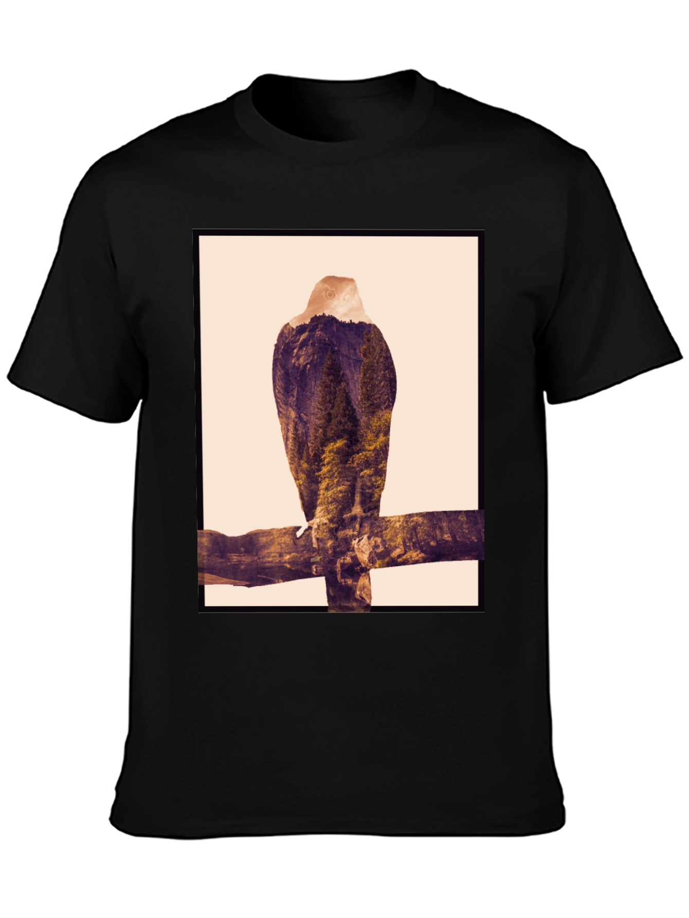 Eagle Mountain Graphic Tee - Black
