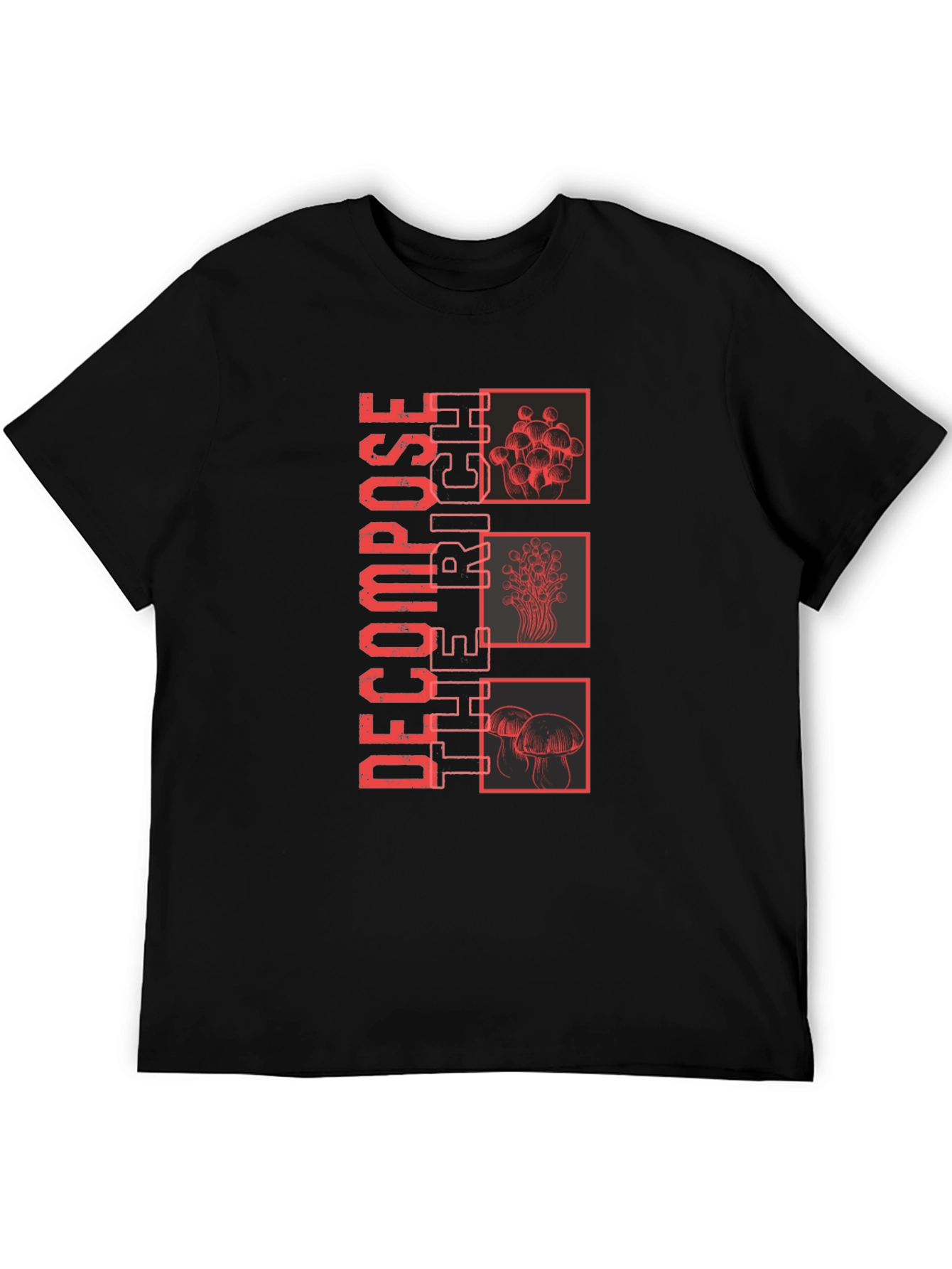 Decompose The Rich Graphic Tee