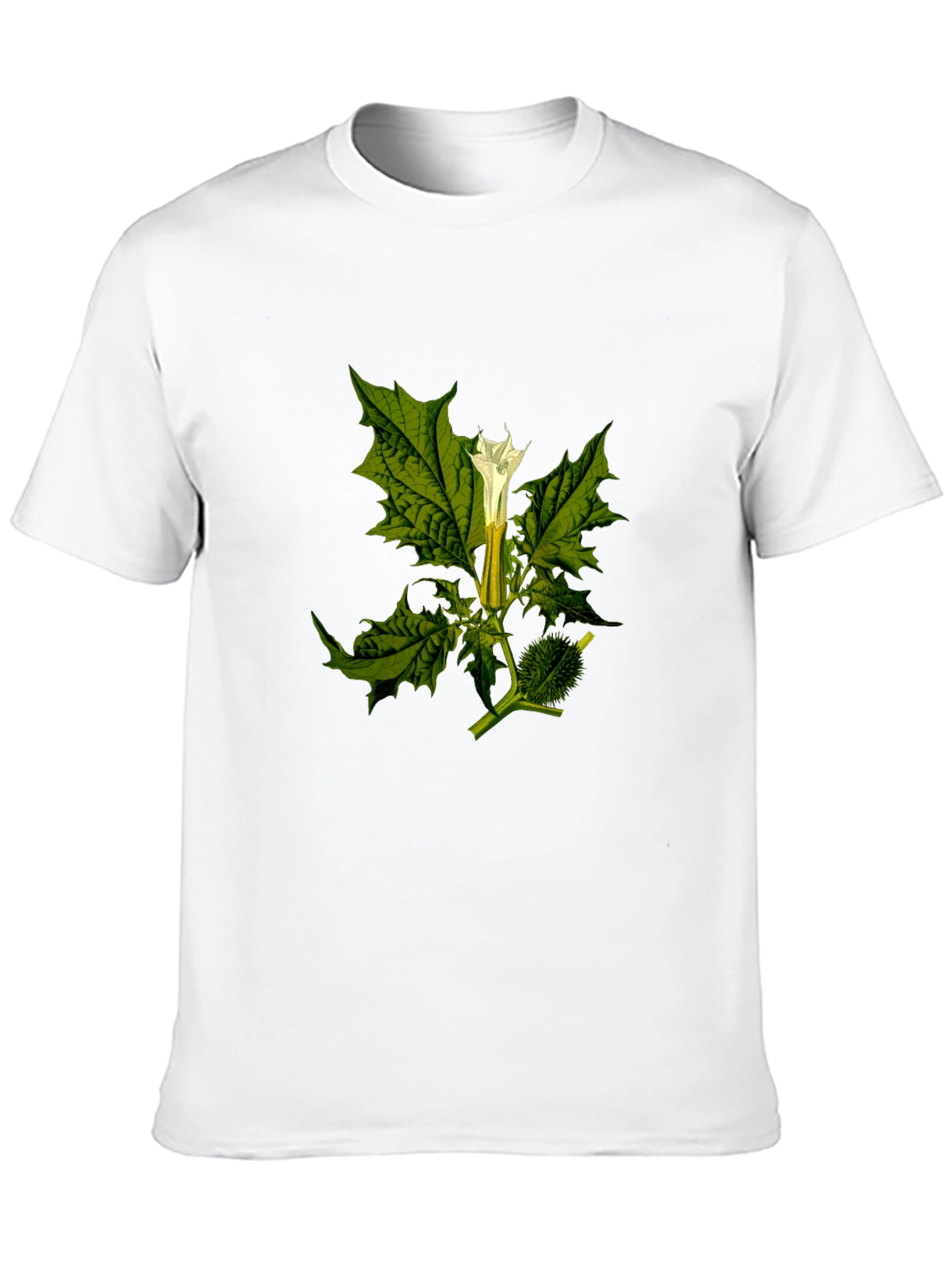 Botanical Datura Flower Graphic Black Tee