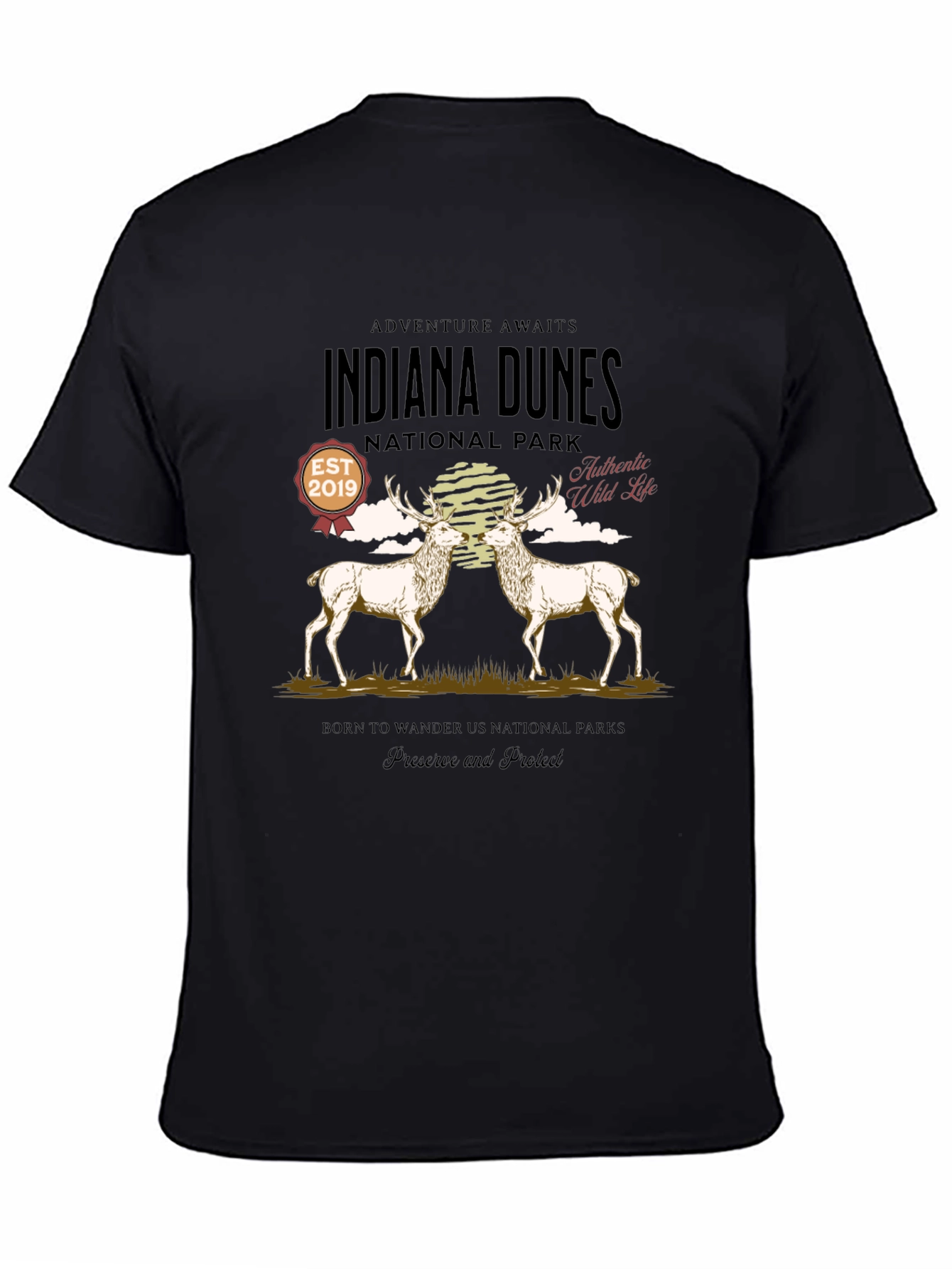 Indiana Dunes National Park Graphic T-Shirt