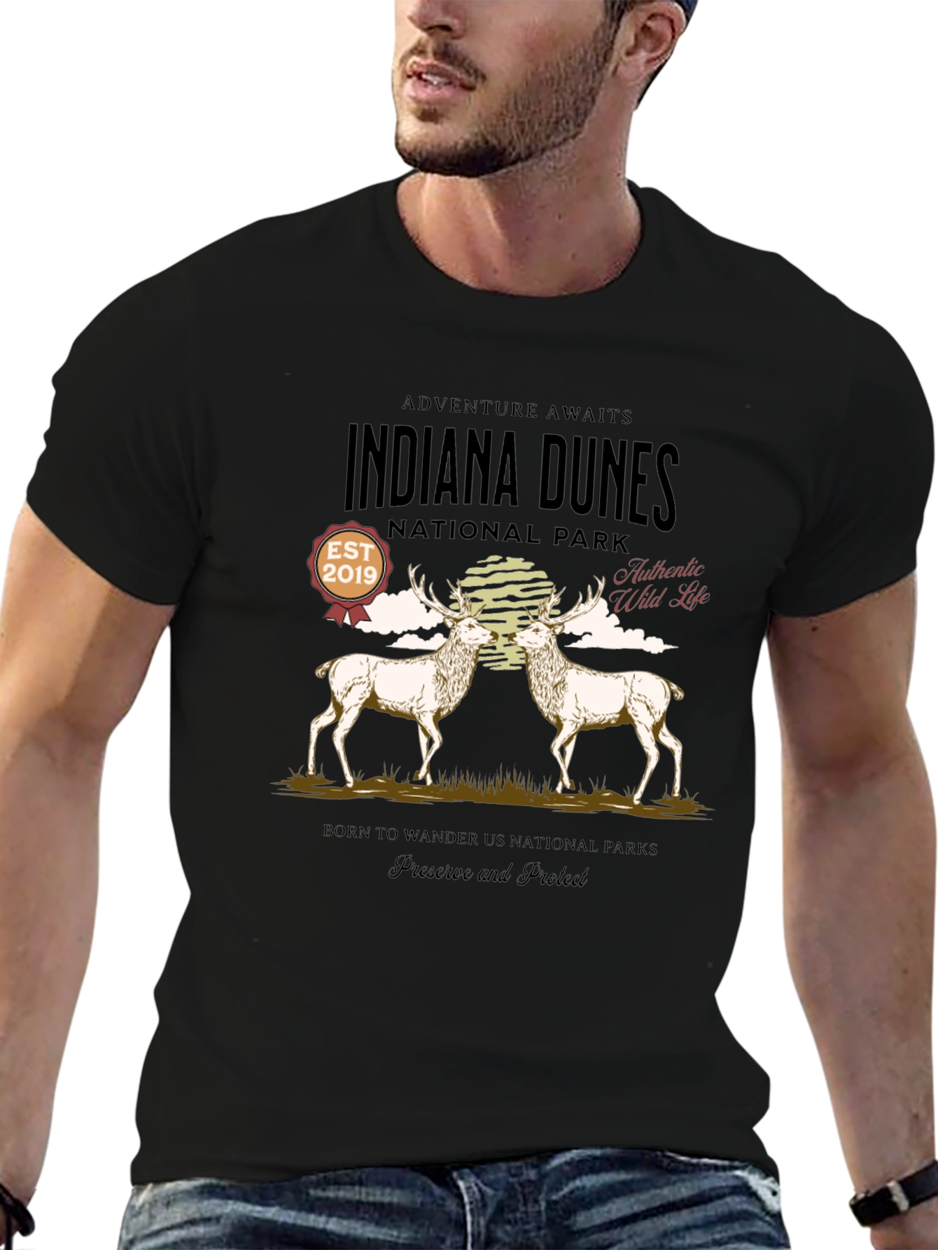 Indiana Dunes National Park Graphic T-Shirt