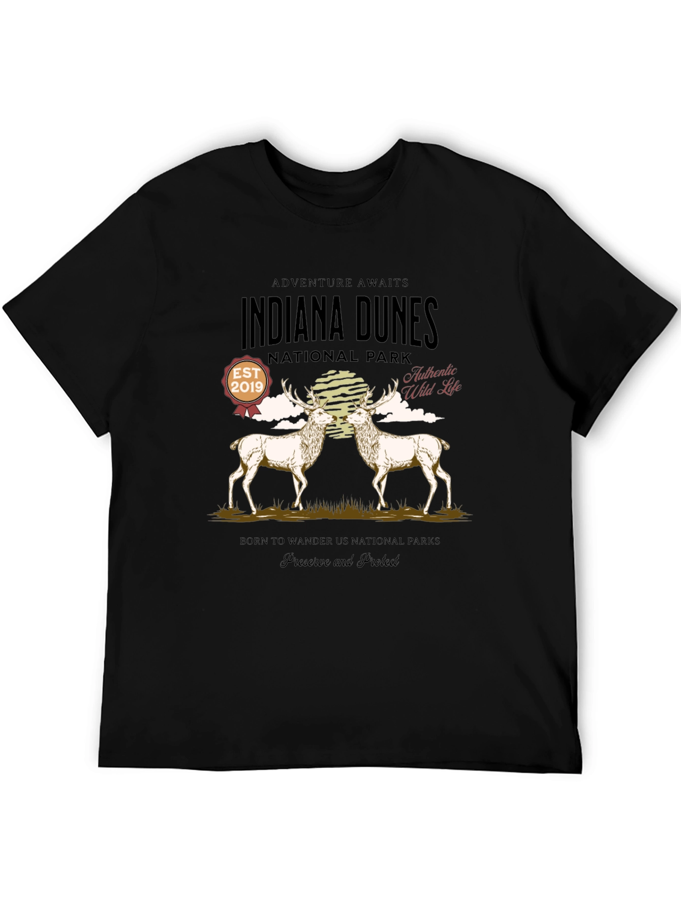 Indiana Dunes National Park Graphic T-Shirt