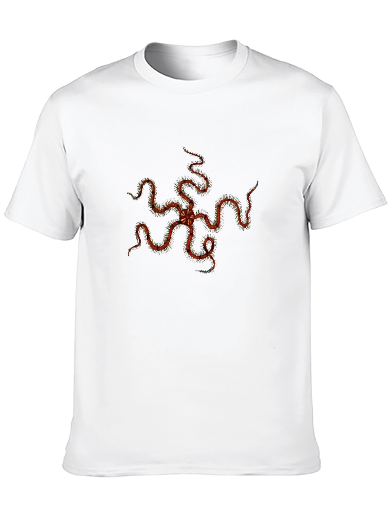 Echinoderm Print Black Tee - Stylish Sea Star T-Shirt