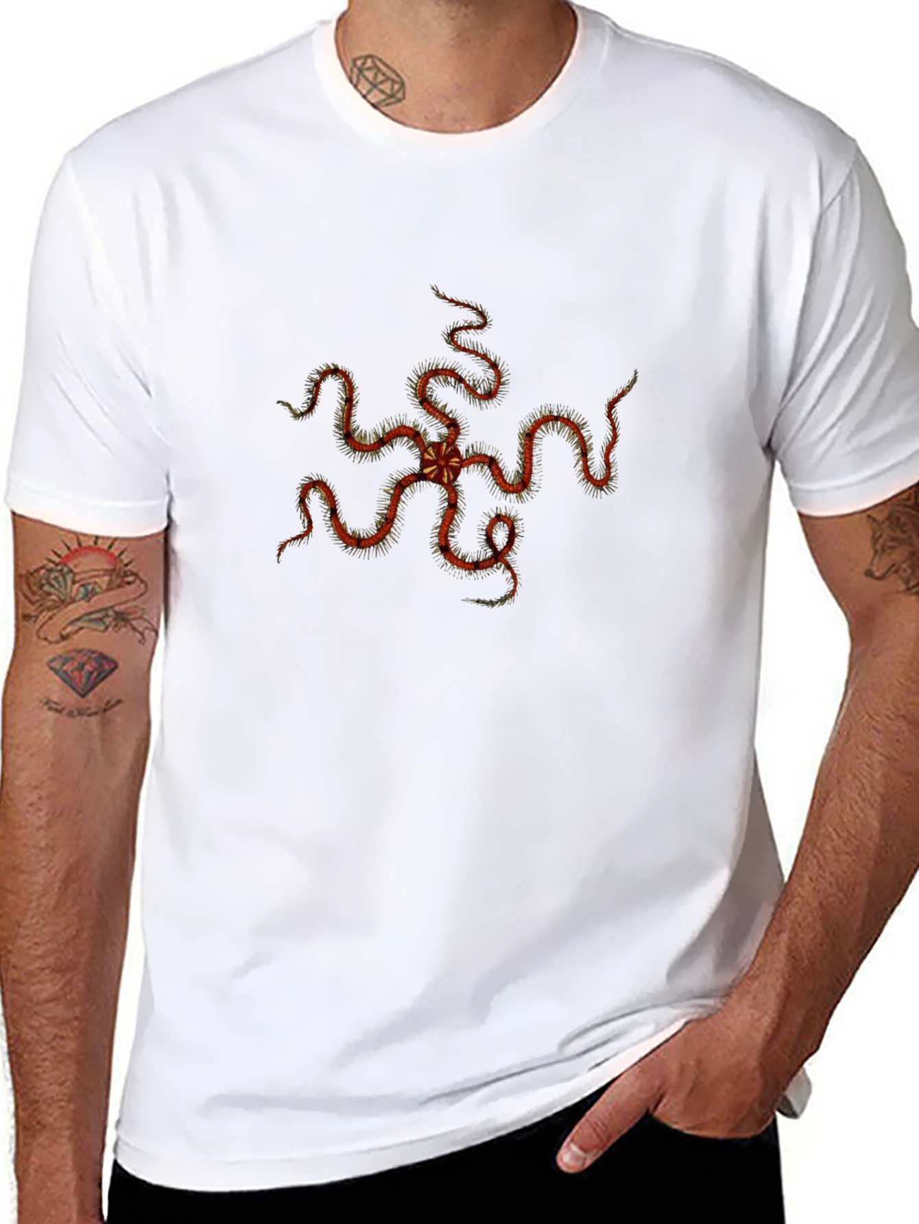 Echinoderm Print Black Tee - Stylish Sea Star T-Shirt